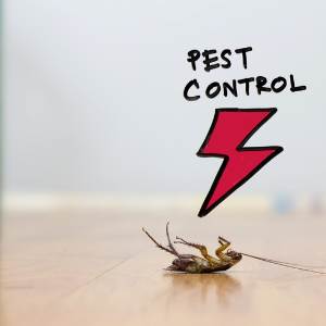 pest control landge